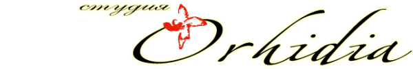 Логотип компании Орхидия